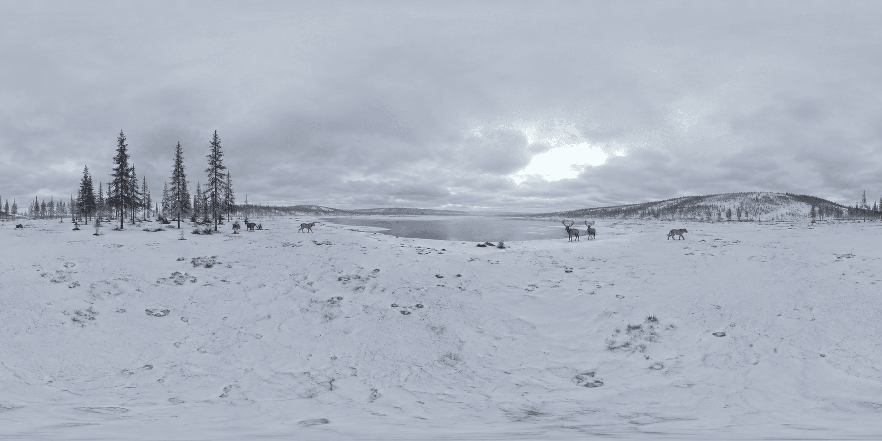 Frozen lake 360-degree preview in Ice Age Tundra